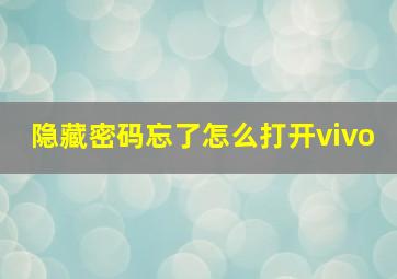 隐藏密码忘了怎么打开vivo