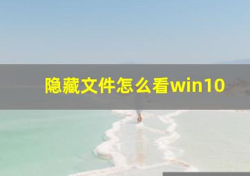 隐藏文件怎么看win10