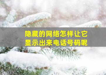 隐藏的网络怎样让它显示出来电话号码呢