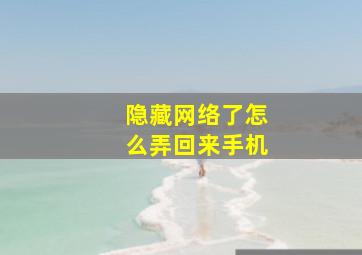 隐藏网络了怎么弄回来手机