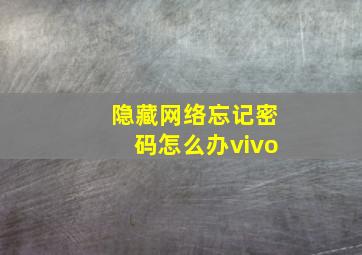 隐藏网络忘记密码怎么办vivo