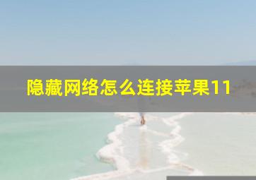 隐藏网络怎么连接苹果11