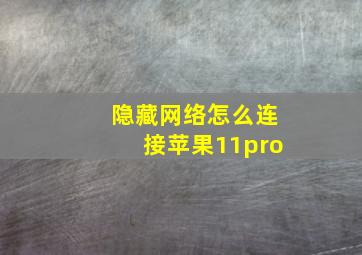 隐藏网络怎么连接苹果11pro