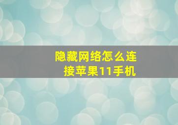 隐藏网络怎么连接苹果11手机