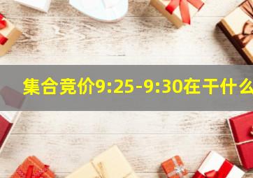 集合竞价9:25-9:30在干什么