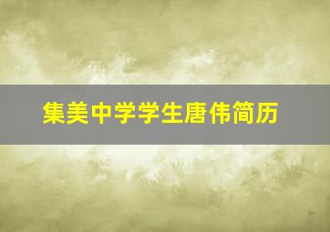 集美中学学生唐伟简历