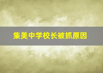 集美中学校长被抓原因