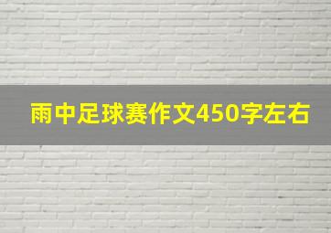 雨中足球赛作文450字左右