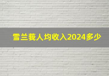 雪兰莪人均收入2024多少