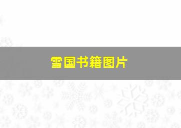 雪国书籍图片