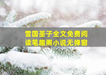 雪国圣子全文免费阅读笔趣阁小说无弹窗