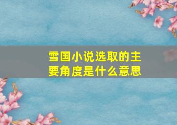 雪国小说选取的主要角度是什么意思