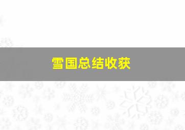 雪国总结收获