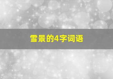 雪景的4字词语