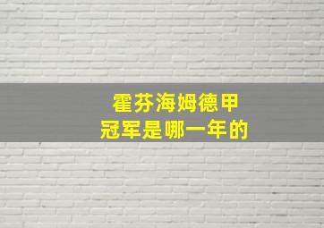 霍芬海姆德甲冠军是哪一年的