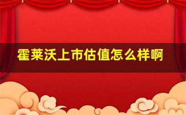 霍莱沃上市估值怎么样啊