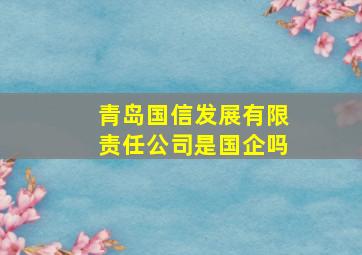 青岛国信发展有限责任公司是国企吗