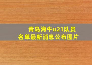 青岛海牛u21队员名单最新消息公布图片