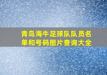 青岛海牛足球队队员名单和号码图片查询大全