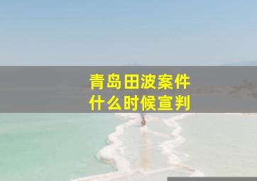 青岛田波案件什么时候宣判