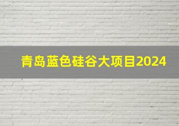 青岛蓝色硅谷大项目2024