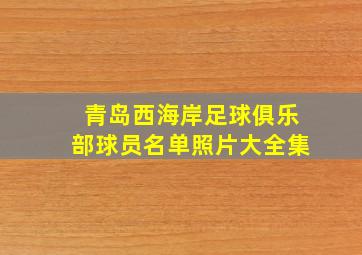 青岛西海岸足球俱乐部球员名单照片大全集