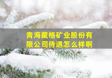 青海藏格矿业股份有限公司待遇怎么样啊