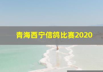 青海西宁信鸽比赛2020