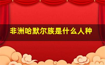 非洲哈默尔族是什么人种