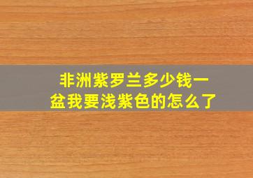 非洲紫罗兰多少钱一盆我要浅紫色的怎么了