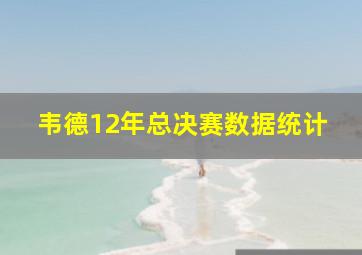 韦德12年总决赛数据统计