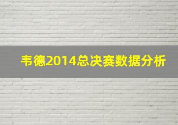 韦德2014总决赛数据分析