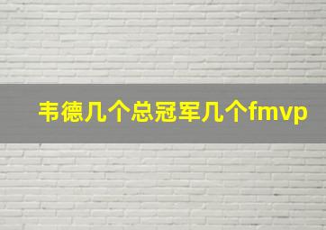 韦德几个总冠军几个fmvp