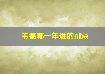 韦德哪一年进的nba