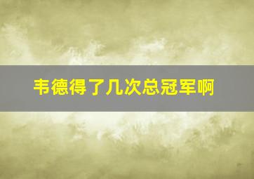 韦德得了几次总冠军啊