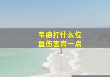 韦德打什么位置伤害高一点