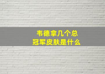 韦德拿几个总冠军皮肤是什么