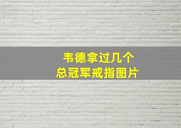 韦德拿过几个总冠军戒指图片