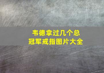 韦德拿过几个总冠军戒指图片大全