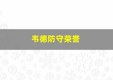 韦德防守荣誉