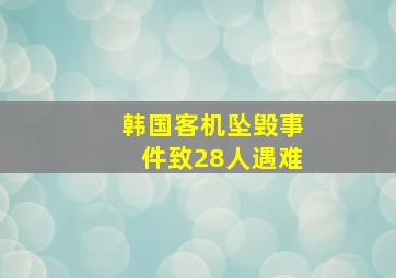 韩国客机坠毁事件致28人遇难