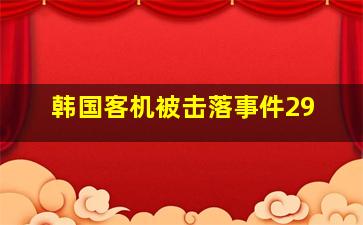 韩国客机被击落事件29