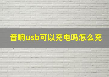 音响usb可以充电吗怎么充