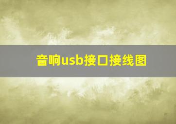 音响usb接口接线图