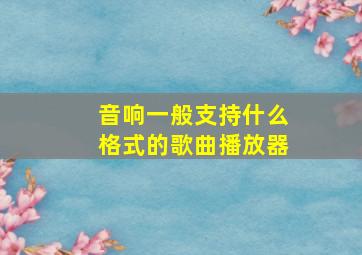 音响一般支持什么格式的歌曲播放器