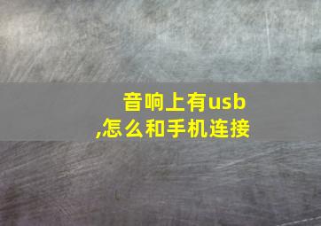 音响上有usb,怎么和手机连接