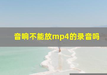 音响不能放mp4的录音吗