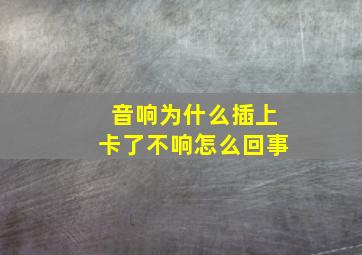 音响为什么插上卡了不响怎么回事