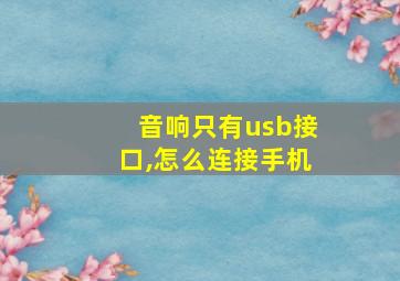 音响只有usb接口,怎么连接手机