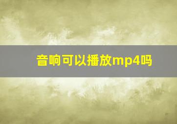 音响可以播放mp4吗